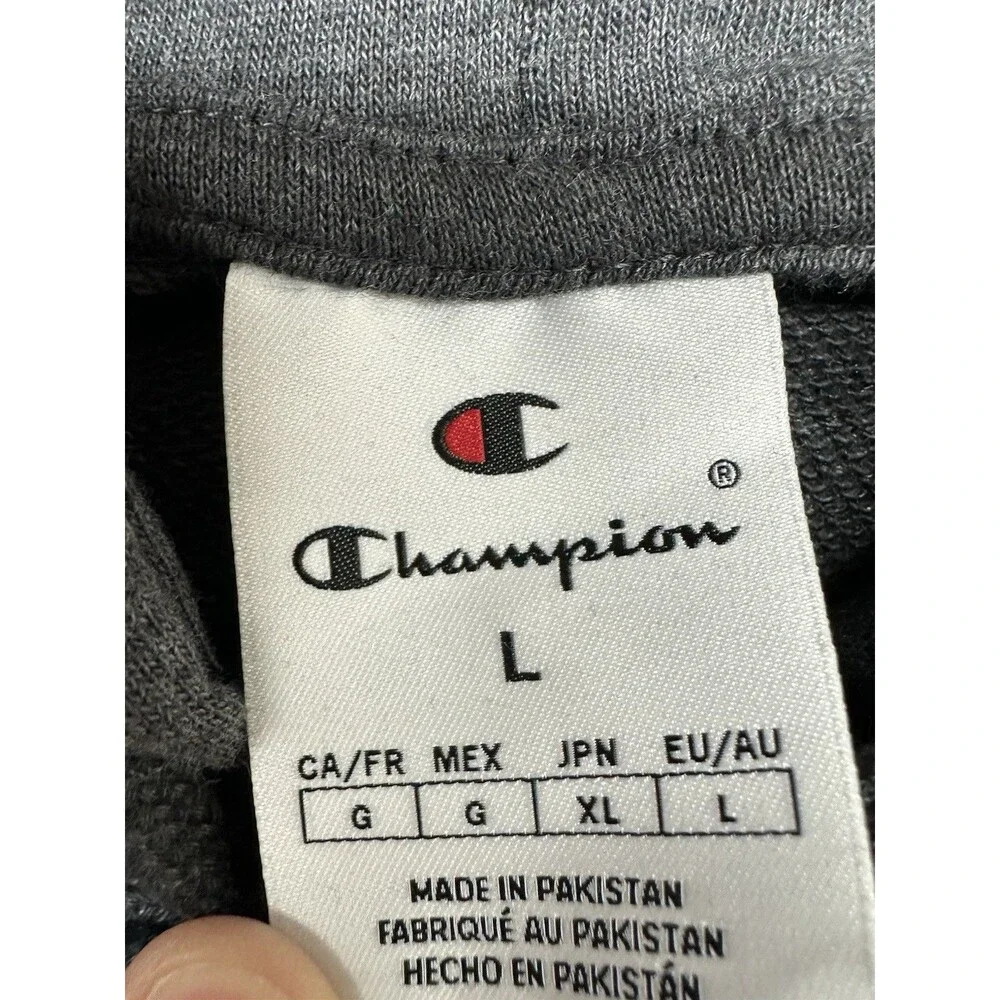 Champion Men’s Hoodie Large Charcoal Gray Pullover Sweatshirt Logo